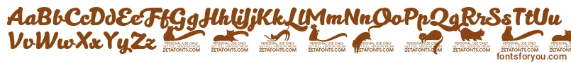 Шрифт Kittenboldtrial – коричневые шрифты на белом фоне