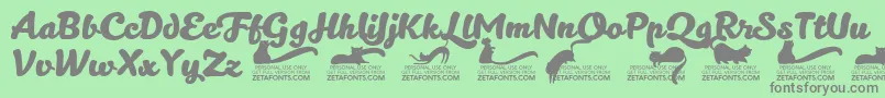 Kittenboldtrial Font – Gray Fonts on Green Background