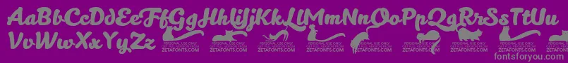 Kittenboldtrial Font – Gray Fonts on Purple Background