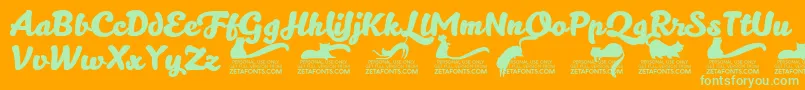 Kittenboldtrial Font – Green Fonts on Orange Background