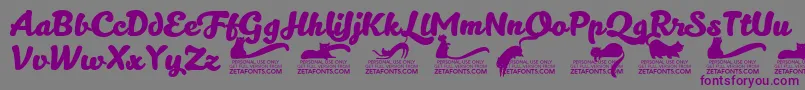 Шрифт Kittenboldtrial – фиолетовые шрифты на сером фоне