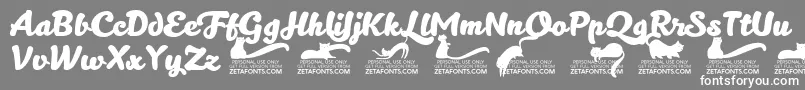 Kittenboldtrial Font – White Fonts on Gray Background