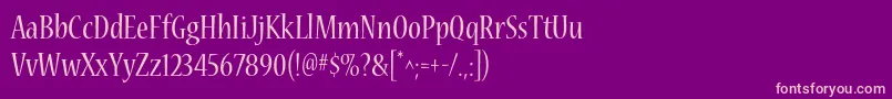 NuevastdCond Font – Pink Fonts on Purple Background