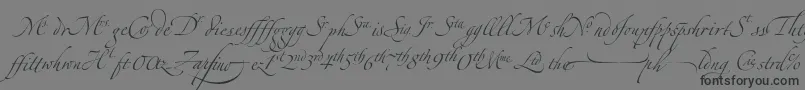 フォントZapfinoextraltLigatures – 黒い文字の灰色の背景