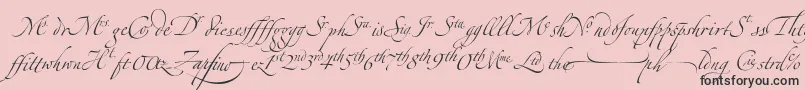 ZapfinoextraltLigatures-Schriftart – Schwarze Schriften auf rosa Hintergrund