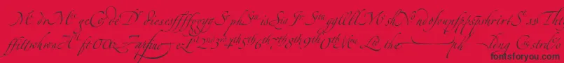 ZapfinoextraltLigatures-Schriftart – Schwarze Schriften auf rotem Hintergrund