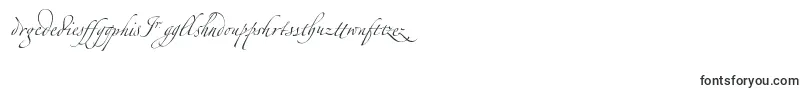 ZapfinoextraltLigatures-Schriftart – Alphabetische Schriften