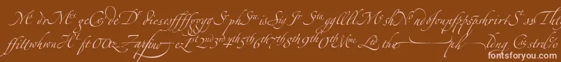 ZapfinoextraltLigatures Font – Pink Fonts on Brown Background