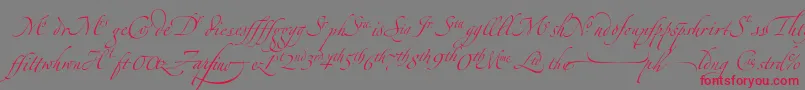 ZapfinoextraltLigatures Font – Red Fonts on Gray Background