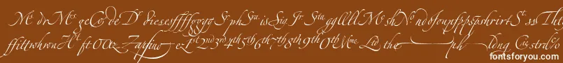 フォントZapfinoextraltLigatures – 茶色の背景に白い文字