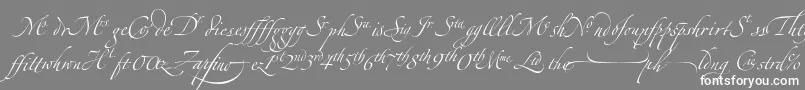 ZapfinoextraltLigatures-Schriftart – Weiße Schriften auf grauem Hintergrund