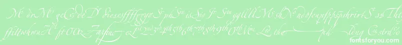 ZapfinoextraltLigatures-Schriftart – Weiße Schriften auf grünem Hintergrund