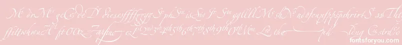 ZapfinoextraltLigatures-Schriftart – Weiße Schriften auf rosa Hintergrund