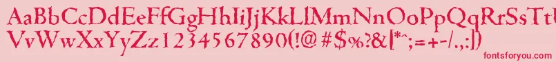 CambridgerandomMediumRegular Font – Red Fonts on Pink Background