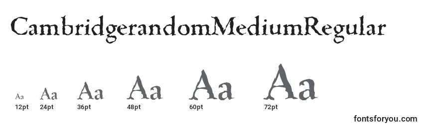Размеры шрифта CambridgerandomMediumRegular