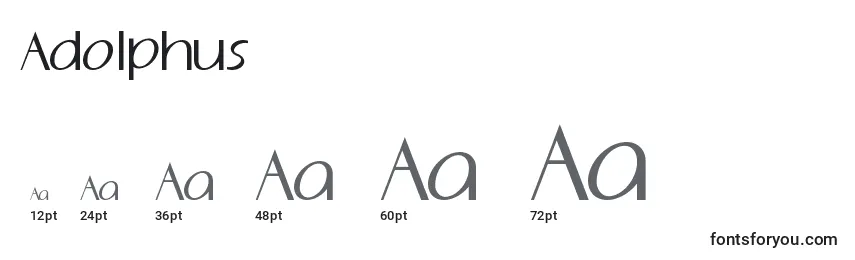 Размеры шрифта Adolphus