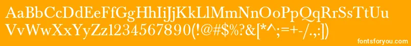 Baskervaldadfstd Font – White Fonts on Orange Background