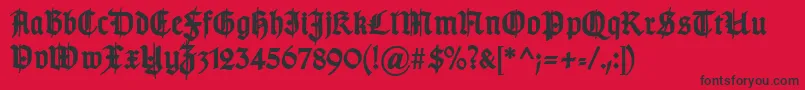TypographergotischSchmuckBold Font – Black Fonts on Red Background
