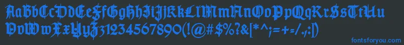 TypographergotischSchmuckBold Font – Blue Fonts on Black Background