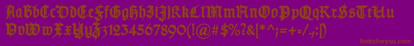 TypographergotischSchmuckBold Font – Brown Fonts on Purple Background