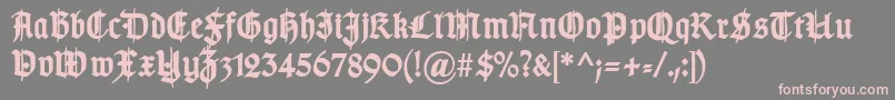 TypographergotischSchmuckBold-Schriftart – Rosa Schriften auf grauem Hintergrund