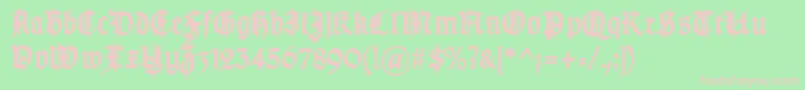 TypographergotischSchmuckBold Font – Pink Fonts on Green Background