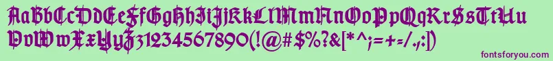 Czcionka TypographergotischSchmuckBold – fioletowe czcionki na zielonym tle