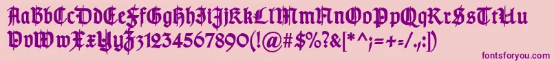 TypographergotischSchmuckBold Font – Purple Fonts on Pink Background