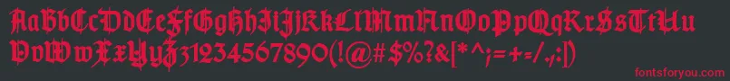 TypographergotischSchmuckBold Font – Red Fonts on Black Background