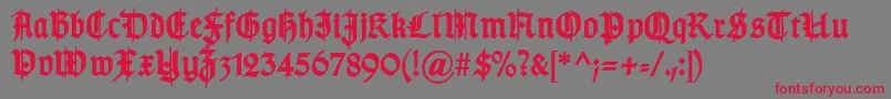Czcionka TypographergotischSchmuckBold – czerwone czcionki na szarym tle