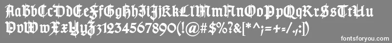 Czcionka TypographergotischSchmuckBold – białe czcionki na szarym tle