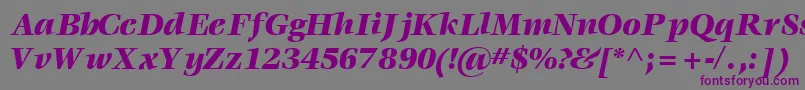 VoraceblacksskItalic Font – Purple Fonts on Gray Background