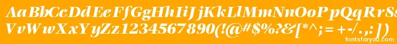 VoraceblacksskItalic Font – White Fonts on Orange Background