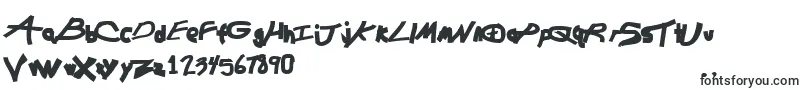 Шрифт ChunkmuffinHeavy – шрифты для Adobe Muse