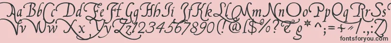 FranciscoLucasBriosaRegular Font – Black Fonts on Pink Background