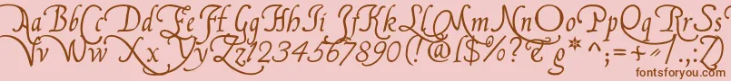 FranciscoLucasBriosaRegular Font – Brown Fonts on Pink Background