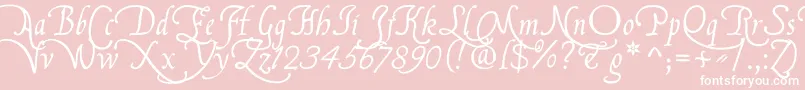 FranciscoLucasBriosaRegular Font – White Fonts on Pink Background