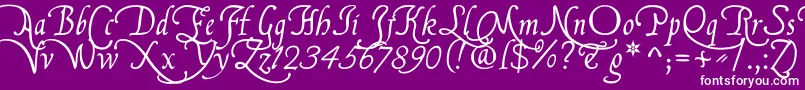 FranciscoLucasBriosaRegular-Schriftart – Weiße Schriften auf violettem Hintergrund