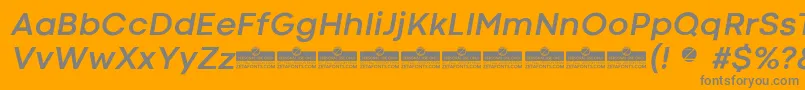 CodecColdBoldItalicTrial Font – Gray Fonts on Orange Background