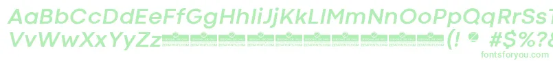 CodecColdBoldItalicTrial Font – Green Fonts