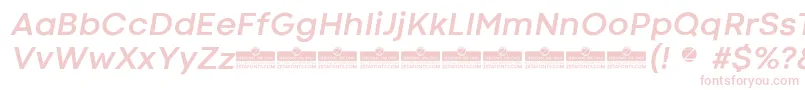 CodecColdBoldItalicTrial Font – Pink Fonts on White Background