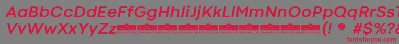 CodecColdBoldItalicTrial Font – Red Fonts on Gray Background
