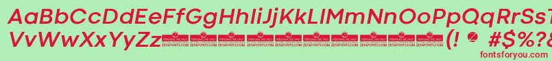 CodecColdBoldItalicTrial Font – Red Fonts on Green Background