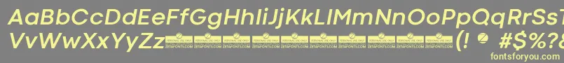 CodecColdBoldItalicTrial Font – Yellow Fonts on Gray Background