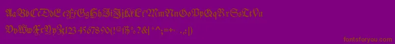 Myelectronicschwabach Font – Brown Fonts on Purple Background