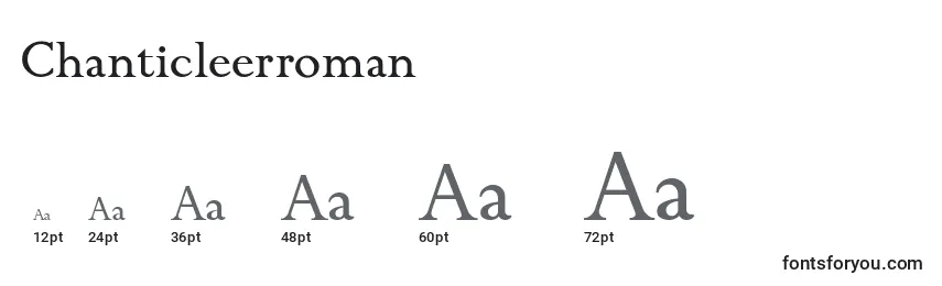 sizes of chanticleerroman font, chanticleerroman sizes