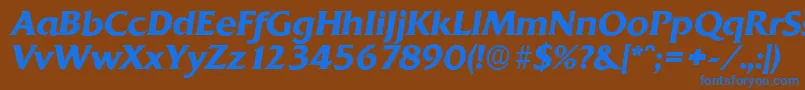 QuadratserialBolditalic Font – Blue Fonts on Brown Background