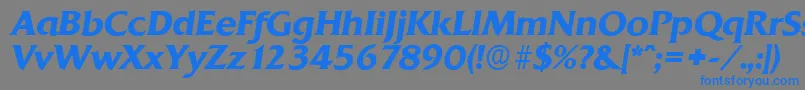 QuadratserialBolditalic Font – Blue Fonts on Gray Background