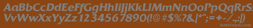 QuadratserialBolditalic Font – Gray Fonts on Brown Background