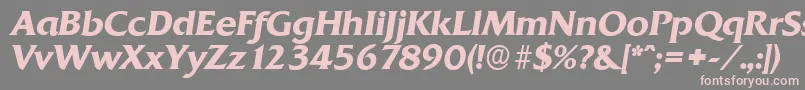 QuadratserialBolditalic Font – Pink Fonts on Gray Background